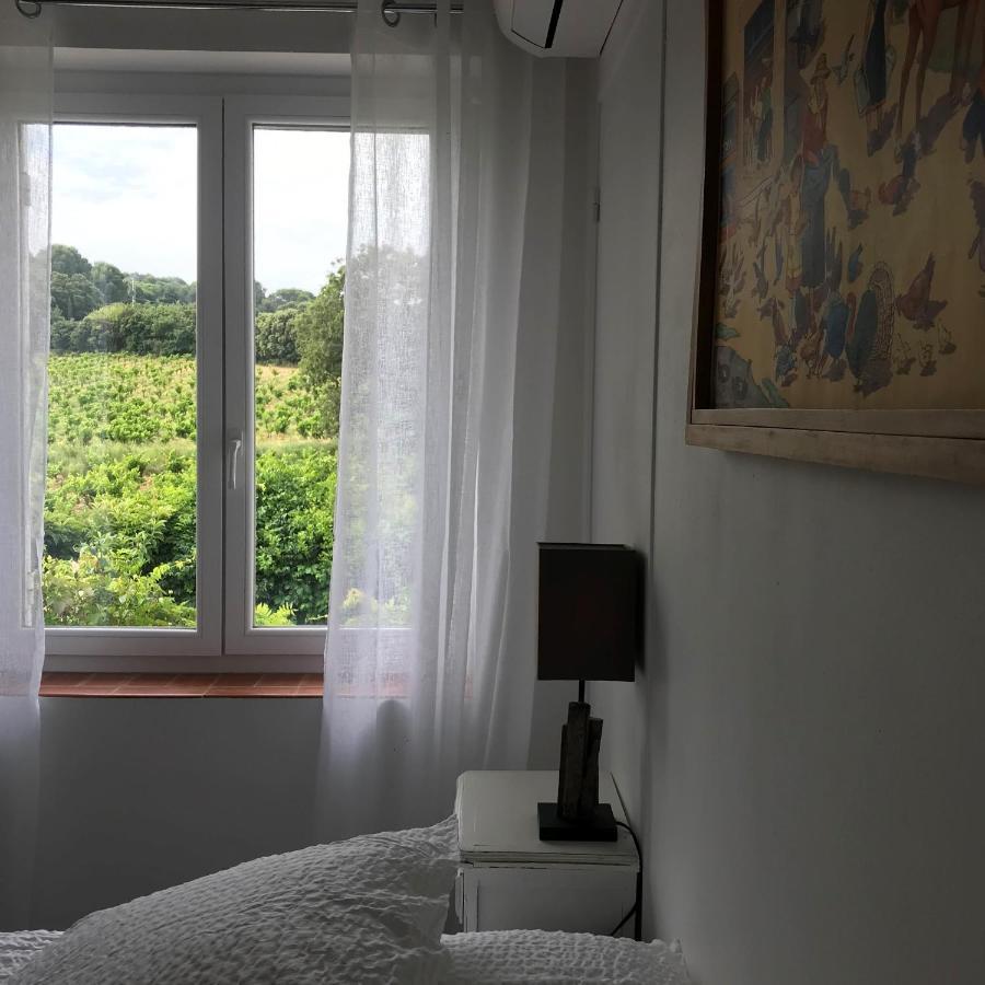 Chambres D'Hotes Et Gites Le Mas Mellou Orange  Exterior photo